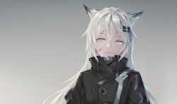 Rule 34 | 1girl, animal ears, arknights, bad id, bad pixiv id, black jacket, gradient background, grey background, grey eyes, hair between eyes, hair ornament, hairclip, high collar, highres, jacket, lappland (arknights), long hair, looking at viewer, scar, scar across eye, scar on face, silver hair, sing shuixing, smile, solo, upper body, wolf ears