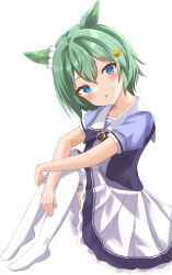 Rule 34 | 1girl, absurdres, animal ears, blue eyes, bow, bowtie, closed mouth, commentary, commentary request, feet out of frame, green hair, hair ornament, hairclip, highres, horse ears, horse girl, horse tail, knees up, kudo (user dzch8572), looking at viewer, open mouth, purple shirt, purple thighhighs, sailor collar, school uniform, seiun sky (umamusume), shadow, shirt, short hair, simple background, sitting, skirt, smile, solo, tail, thighhighs, tracen school uniform, umamusume, white background, white thighhighs, zettai ryouiki