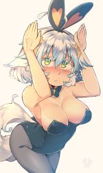 Rule 34 | 1girl, animal ears, bare shoulders, beige background, black pantyhose, breasts, cleavage, closed mouth, collar, collarbone, commentary request, green eyes, hair between eyes, hands up, kuromiya, large breasts, leotard, looking at viewer, original, pantyhose, playboy bunny, rabbit pose, rabbit tail, shiromiya asuka, short hair, simple background, solo, tail, tan, tanline, white hair