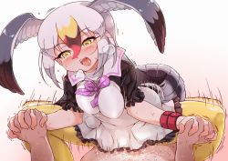 Rule 34 | 10s, 1girl, afterimage, assertive female, bird tail, black-tailed gull (kemono friends), blush, breath, clothed sex, cowgirl position, dress, frilled dress, frills, girl on top, gradient background, grey hair, hair between eyes, head wings, heavy breathing, holding hands, interlocked fingers, kemono friends, long hair, motion lines, multicolored hair, open mouth, pantyhose, penis, sex, short sleeves, simple background, solo focus, straddling, sweat, tail, tanaka kusao, tongue, tongue out, white hair, wings, wristband, yellow eyes, yellow pantyhose