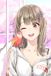 Rule 34 | 1girl, bird, blush, breasts, brown hair, cherry blossoms, cleavage, collarbone, drawstring, hair ornament, hairclip, long hair, long sleeves, looking to the side, medium breasts, one eye closed, open mouth, original, parakeet, smile, solo, sweater, white sweater, yahako, zipper pull tab