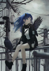 Rule 34 | 1girl, 7ife, absurdres, alternate costume, animal, ankle boots, arknights, asymmetrical gloves, bad id, bad pixiv id, bare legs, bird, black footwear, black gloves, black jacket, black scarf, blue eyes, blue hair, boots, cloud, cloudy sky, commentary request, crow, day, demon girl, demon horns, demon tail, full body, gloves, halo, highres, horns, jacket, long sleeves, looking away, looking to the side, mismatched gloves, mostima (arknights), on railing, open clothes, open jacket, outdoors, parted lips, railing, scarf, shirt, sitting, sky, smile, solo, tail, utility pole, white gloves, white shirt