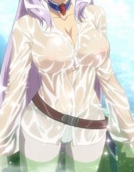 Rule 34 | 10s, 1girl, annelotte, annelotte (queen's blade), belt, blouse, blue panties, breasts, choker, cleavage, dress shirt, female focus, head out of frame, knight princess annelotte, large breasts, long hair, nipples, no bra, panties, panties under pantyhose, pantyhose, purple hair, queen&#039;s blade, queen&#039;s blade rebellion, scabbard, screencap, see-through, sheath, shirt, solo, standing, stitched, third-party edit, underwear, very long hair, water, wet, wet clothes, wet shirt, white pantyhose, white shirt