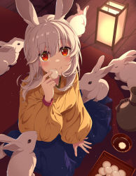 Rule 34 | 1girl, :t, animal, animal ears, blue hakama, closed mouth, commentary request, eating, food, from above, grey hair, hair between eyes, hakama, hakama skirt, highres, holding, holding food, indoors, japanese clothes, kimono, lantern, long hair, long sleeves, looking at viewer, looking up, matsuba moco, original, puffy long sleeves, puffy sleeves, rabbit, rabbit ears, rabbit girl, red eyes, skirt, smile, solo, tsukimi, wooden floor, yellow kimono