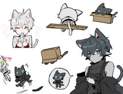 Rule 34 | !?, 2boys, animal ears, arknights, aruke0, bishounen, black cat, black hair, box, cat, cat boy, cat ears, cat tail, chibi, faust (arknights), fish, highres, mephisto (arknights), multiple boys, pointy ears, short hair, simple background, speech bubble, tail, white background, white hair