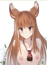 Rule 34 | 1girl, absurdres, animal ears, breasts, brown eyes, brown hair, highres, holo, long hair, medium breasts, nipples, nude, solo, spice and wolf, upper body, wolf ears, wolf girl