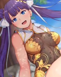 Rule 34 | 1girl, alp, blue eyes, breasts, china dress, chinese clothes, covered navel, double bun, dress, earrings, fate/grand order, fate (series), heroic spirit traveling outfit, jewelry, martha (fate), martha (traveling outfit) (fate), medium breasts, purple hair, shade, sleeveless, sleeveless dress, solo, tree, twintails, under tree