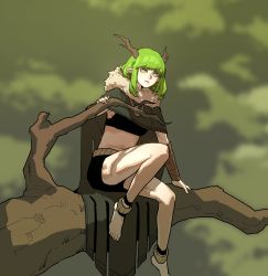 Rule 34 | 1girl, absurdres, antlers, barefoot, black bra, black shorts, bra, branch, bright pupils, cape, druid (gogalking), gogalking, green cape, green eyes, green hair, highres, horns, jewelry, looking at viewer, medium hair, navel, necklace, original, shorts, sitting on branch, solo, underwear, vambraces, white pupils