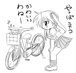Rule 34 | 00s, bicycle, cat, hiiragi kagami, jun (aoerm), lucky star, monochrome, school uniform, serafuku, sketch, translated