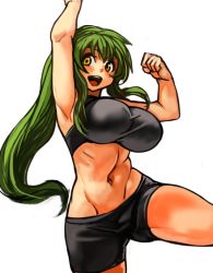 Rule 34 | 1girl, :d, bike shorts, breasts, female focus, green hair, groin, high ponytail, large breasts, long hair, midriff, navel, open mouth, original, ponytail, ribs, sachito, sidelocks, simple background, smile, solo, sumi-chan (sachito), thick thighs, thighs, white background, yellow eyes