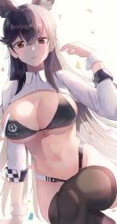Rule 34 | 1girl, albi, animal ears, atago (azur lane), atago (stunning speedster) (azur lane), azur lane, bikini, black bikini, black hair, black thighhighs, breasts, cleavage, crossed legs, extra ears, hand up, highleg, highleg bikini, highres, large breasts, long hair, long sleeves, looking at viewer, navel, no pants, official alternate costume, parted lips, race queen, red eyes, shrug (clothing), sitting, skindentation, solo, stomach, string bikini, swimsuit, thighhighs, very long hair, wing collar, wrist cuffs