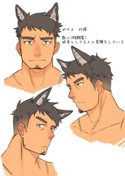 Rule 34 | 1boy, animal ears, aruji (hidora), bara, black hair, character request, check character, cropped shoulders, expressions, facial hair, goatee, hidora art, highres, long sideburns, male focus, original, raised eyebrow, short hair, sideburns, smile, solo, thick eyebrows, undercut, wolf boy, wolf ears, yellow eyes