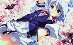 1girl blue_hair cherry_blossoms female_focus from_below fumio_(ura_fmo) highres kuu_(lyrical_lyric) lyrical_lyric non-web_source panties pantyshot red_eyes school_uniform short_hair solo underwear white_panties