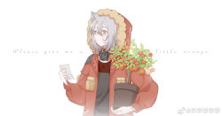 Rule 34 | 1girl, animal ears, arknights, bandages, commentary, english text, flower pot, fur-trimmed hood, fur trim, grey hair, grey shirt, hair between eyes, highres, holding, holding flower pot, holding pot, hood, jacket, note, open clothes, open jacket, orange tree, plant, pot, potted plant, projekt red (arknights), red jacket, shirt, simple background, solo, sucrying, symbol-only commentary, tree, upper body, weibo watermark, white background, wolf ears, yellow eyes