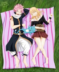 Rule 34 | 1boy, 1girl, barefoot, blanket, blue cat, book, cat, fairy tail, grass, happy (fairy tail), highres, lucy heartfilia, nalu, natsu dragneel, sleeping, toes