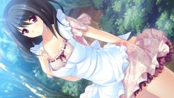Rule 34 | 1girl, apron, ayase hazuki, black hair, blush, breasts, cleavage, collar, dress, game cg, grass, kamidere, large breasts, legs, long hair, looking away, pink eyes, solo, standing, thighs, tree, wind