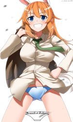 Rule 34 | 1girl, absurdres, animal ears, blue eyes, blush, breasts, charlotte e. yeager, green necktie, grin, hand on own hip, highres, hiroshi (hunter-of-kct), jacket, jacket over shoulder, unworn jacket, large breasts, long hair, looking at viewer, necktie, orange hair, panties, rabbit ears, shirt, simple background, smile, solo, standing, strike witches, underwear, white background, white panties, white shirt, world witches series
