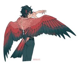 Rule 34 | 1boy, artist name, bird boy, bird tail, bird wings, black hair, closed mouth, colored tips, cowboy shot, ear piercing, feathered wings, green eyes, hands up, head wings, highres, looking at viewer, looking back, male focus, multicolored hair, original, piercing, red hair, red wings, short hair, shuini xiaomao, simple background, solo, standing, tail, white background, wings