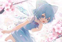 Rule 34 | 1girl, :d, backlighting, barefoot, blue bow, blue dress, blue eyes, blue hair, blurry, bow, cherry blossoms, cirno, day, depth of field, dress, hair between eyes, hair bow, happy, highres, ice, ice wings, looking at viewer, neck ribbon, open mouth, outdoors, overexposure, pinafore dress, puffy short sleeves, puffy sleeves, red ribbon, ribbon, short hair, short sleeves, siyumu, sleeveless dress, smile, solo, toes, touhou, wings