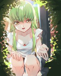 Rule 34 | 1girl, beckoning, bent over, breasts, bush, c.c., cleavage, code geass, collarbone, creayus, day, green hair, hand on own knee, light blush, long hair, looking at viewer, open hand, open mouth, outstretched hand, perspective, shadow, shirt, short sleeves, smile, solo, squatting, white shirt, yellow eyes