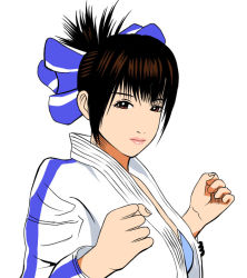 Rule 34 | 1girl, aihara makoto, judoka, konami, looking at viewer, rumble roses, shorts, simple background, white background, wrestler