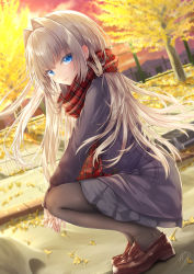 Rule 34 | 1girl, absurdres, amatsuji, autumn leaves, black pantyhose, blazer, blue eyes, brown footwear, chain-link fence, closed mouth, commentary request, dutch angle, enpera, falling leaves, fence, from side, full body, ginkgo leaf, hair intakes, highres, jacket, leaf, loafers, long hair, long sleeves, looking at viewer, original, outdoors, own hands together, pantyhose, plaid, plaid scarf, pleated skirt, red scarf, scarf, school uniform, shoes, signature, skirt, smile, solo, squatting, sunset, tree