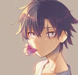 Rule 34 | 1boy, black eyes, black hair, close-up, cr-r, flower, flower in mouth, hikigaya hachiman, looking at viewer, male focus, mouth hold, portrait, shade, solo, yahari ore no seishun lovecome wa machigatteiru.