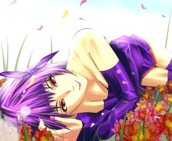 Rule 34 | ayane (doa), bad id, bad pixiv id, dead or alive, detached sleeves, flower, headband, japanese clothes, lying, petals, purple hair, red eyes, saitou (sugarsa10), short hair, smile, tecmo, thighhighs
