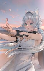 Rule 34 | 1girl, absurdres, animal ears, aqua eyes, arknights, bare arms, bare shoulders, cat ears, commentary request, dress, grey hair, hair intakes, highres, long hair, open mouth, outdoors, petals, rosmontis (arknights), sleeveless, sleeveless dress, solo, upper body, very long hair, welt (kinsei koutenkyoku), white dress
