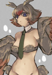 Rule 34 | 1girl, absurdres, bird, blue eyes, bottomless, breasts, brown hair, detached collar, empty eyes, feathered wings, feathers, freckles, gradient hair, green necktie, harpy, head wings, highres, ishuzoku reviewers, looking at viewer, medium breasts, mimilo, monster girl, multicolored hair, navel, necktie, out-of-frame censoring, owl, owl ears, red hair, revealing clothes, short hair, solo, strapless, susamiyasan, tube top, winged arms, wings