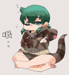 Rule 34 | 1girl, :|, barefoot, brown hoodie, closed mouth, commentary request, crossed arms, crossed bangs, full body, green eyes, green hair, grey background, hair over shoulder, highres, hood, hood down, hoodie, kemono friends, long hair, looking at viewer, lotus position, multicolored clothes, multicolored hoodie, naka (buttergirl 02), no pants, one eye closed, raised eyebrows, simple background, squeans, sleepy, snake girl, snake tail, solo, tail, translation request, tsuchinoko (kemono friends), yellow hoodie