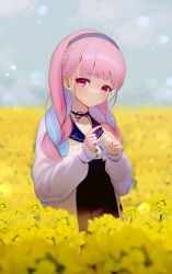 Rule 34 | 1girl, absurdres, black skirt, blue hairband, blue sailor collar, blunt bangs, blush, braid, choker, closed mouth, field, flower, flower field, frilled sailor collar, frills, hair between eyes, hair over shoulder, hairband, high-waist skirt, highres, hololive, index fingers together, jacket, long sleeves, looking at viewer, minato aqua, minato aqua (sailor), pink hair, purple eyes, ribbon choker, sailor collar, skirt, solo, standing, twin braids, twintails, virtual youtuber, white jacket, yellow flower, yoruillust