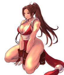 Rule 34 | 1girl, absurdres, breasts, brown eyes, brown hair, cleavage, fatal fury, female focus, highres, kneeling, large breasts, long hair, matching hair/eyes, one eye closed, ponytail, revealing clothes, shiranui mai, solo, thick thighs, thighs, wink