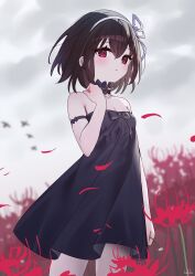 Rule 34 | 1girl, armlet, bird, black choker, black dress, black hair, blurry, blurry background, breasts, choker, closed mouth, daisy, dress, expressionless, falling petals, field, flower, flower field, frilled choker, frills, hairband, hand up, highres, holding, holding flower, looking at viewer, original, outdoors, overcast, petals, red eyes, red flower, short hair, signature, sky, small breasts, solo, spider lily, standing, white hairband, zenshin