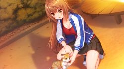 Rule 34 | 1girl, :d, akanesaki tsubaki, black skirt, blue jacket, blush, breasts, brown eyes, brown hair, cat, cleavage, collarbone, day, dusk, feeding, game cg, hair between eyes, idoldays, jacket, large breasts, long hair, long sleeves, looking down, miniskirt, official art, on one knee, open clothes, open jacket, open mouth, outdoors, pleated skirt, red shirt, shinozuka atsuto, shiny skin, shirt, skirt, smile, solo, straight hair, track jacket, very long hair