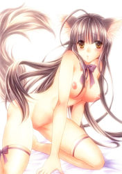 Rule 34 | 1girl, ahoge, animal ears, bad id, bad pixiv id, blush, bow, breasts, brown eyes, brown hair, large breasts, long hair, nipples, nude, ribbon, solo, tail, trimcolor, very long hair