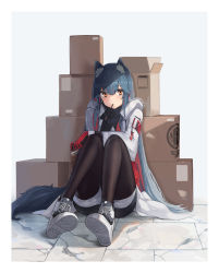 Rule 34 | 1girl, animal ears, arknights, black pantyhose, black shirt, blue hair, box, brown eyes, cardboard box, commentary, food, food in mouth, gloves, grey background, hair between eyes, highres, jacket, knees up, long hair, looking at viewer, marble (marblesized), official alternate costume, pantyhose, penguin logistics logo, pocky, red gloves, shirt, shoes, sitting, sneakers, solo, texas (arknights), texas (winter messenger) (arknights), thighs, very long hair, white jacket, wolf ears