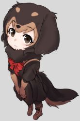 Rule 34 | 1girl, animal ears, black hair, blush, boots, bow, bowtie, brown eyes, brown hair, dachshund (kemono friends) (nyifu), dog ears, dog tail, elbow gloves, from above, fur collar, gloves, harness, kemono friends, looking at viewer, multicolored hair, nyifu, original, pantyhose, pleated skirt, red bow, red bowtie, sailor collar, short hair, short sleeves, skirt, solo, tail