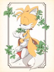 Rule 34 | 1boy, blush, closed mouth, closed eyes, fox boy, fox tail, furry, furry male, male focus, mint, misuta710, multiple tails, smile, solo, sonic (series), tail, tails (sonic), two tails
