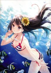 Rule 34 | 1girl, absurdres, air bubble, angelfish, animal, bikini, black hair, blue eyes, blush, bow, bracelet, breasts, bubble, cleavage, cowboy shot, fish, floating hair, flower, freediving, fukahire (ruinon), hair flower, hair ornament, halterneck, highres, jewelry, long hair, looking at viewer, medium breasts, nail polish, necklace, ocean, open mouth, original, side-tie bikini bottom, solo, striped bikini, striped clothes, submerged, sunflower, swimming, swimsuit, tropical fish, underwater, water