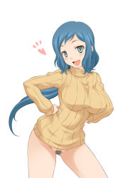 Rule 34 | 10s, 1girl, bad id, bad pixiv id, blue hair, blush, bottomless, female pubic hair, gundam, gundam build fighters, hands on own hips, heart, iori rinko, long hair, looking at viewer, onizuka takuto, open mouth, ponytail, pubic hair, ribbed sweater, simple background, smile, solo, sweater, turtleneck, uncensored, white background