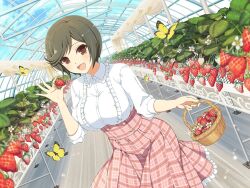 Rule 34 | 1girl, basket, blue sky, blush, breasts, brown eyes, brown hair, bug, butterfly, buttons, cloud, day, flower, food, frilled shirt, frilled skirt, frills, fruit, garden, greenhouse, holding, holding basket, holding food, holding fruit, indoors, insect, large breasts, leaf, looking at viewer, mai (senran kagura), official alternate costume, official art, open mouth, plaid, plaid skirt, plant, senran kagura, senran kagura new link, senran kagura new wave, shiny skin, shirt, short hair, skirt, sky, smile, solo, standing, strawberry, strawberry blossoms, strawberry plant, sunlight, tongue, underbust, white flower, wooden floor, yaegashi nan, yellow butterfly