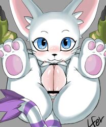 Rule 34 | blue eyes, cat, cleft of venus, digimon, digimon (creature), lying, on back, puffy pussy, pussy, tailmon, white cat