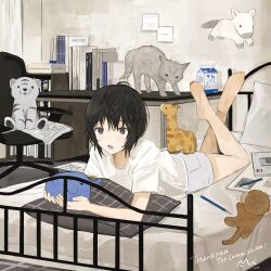 Rule 34 | 1girl, absurdres, barefoot, bed, bed sheet, bedroom, black hair, blush, cat, chair, commission, desk, english text, feet, feet up, full body, grey eyes, grey shorts, hair between eyes, highres, holding, indoors, legs, lying, maoyasumisumi, medium hair, milk carton, office chair, on stomach, open mouth, original, pen, pillow, shirt, shorts, sidelocks, signature, soles, solo, stuffed animal, stuffed toy, swivel chair, t-shirt, the pose, thighs, toes, white shirt