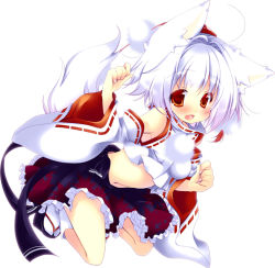 Rule 34 | 1girl, animal ears, blush, detached sleeves, hat, hat ribbon, hikanyan, inubashiri momiji, kneeling, looking at viewer, midriff, navel, open mouth, pom pom (clothes), red eyes, ribbon, ribbon-trimmed sleeves, ribbon trim, sash, shirt, silver hair, skirt, solo, tail, tokin hat, touhou, wide sleeves, wolf ears, wolf tail