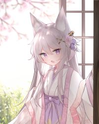 Rule 34 | 1girl, animal ear fluff, animal ears, backlighting, blurry, blurry background, bow, branch, commentary request, day, depth of field, fang, flower, fox ears, grey hair, guo582, hair between eyes, hair flower, hair ornament, hakama, hakama skirt, highres, japanese clothes, kimono, long hair, long sleeves, looking at viewer, open mouth, original, pink flower, purple bow, purple eyes, purple hakama, skirt, solo, very long hair, white kimono, wide sleeves, x hair ornament