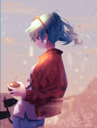 Rule 34 | 1girl, absurdres, apple, aqua eyes, aqua hair, commentary, cowboy shot, desert, earrings, expressionless, eyewear on head, food, from side, fruit, hatsune miku, highres, holding, holding food, holding fruit, jacket, jewelry, looking down, medium hair, outdoors, pants, parted lips, red jacket, sand, shirt, signpost, solo, song name, suna no wakusei (vocaloid), sunglasses, t-shirt, twintails, un known9999, vocaloid