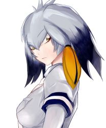 Rule 34 | 1girl, arm at side, black hair, breast pocket, closed mouth, collared shirt, expressionless, from side, grey hair, grey shirt, hair between eyes, kemono friends, layered sleeves, long hair, long sleeves, looking at viewer, looking to the side, low ponytail, multicolored hair, necktie, orange hair, pio (hei-yo), pocket, shirt, shoebill (kemono friends), short over long sleeves, short sleeves, side ponytail, simple background, solo, upper body, white background, white necktie, yellow eyes