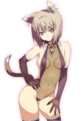 Rule 34 | 1girl, animal ears, bikini, breasts, brown hair, cat ears, cat tail, collar, covered erect nipples, elbow gloves, gloves, hairband, hand on own hip, hand on leg, hip focus, large breasts, leaning, mamecchi, navel, necktie, neko no wakusei, original, red eyes, see-through, slingshot swimsuit, solo, swimsuit, tail, thighhighs