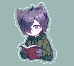 Rule 34 | 1boy, aiba ibuki, animal ear fluff, animal hands, aqua background, book, bright pupils, cat boy, chinese commentary, closed mouth, commentary request, green hoodie, hair over one eye, holding, holding book, hood, hood down, hoodie, jewelry, kemonomimi mode, long sleeves, male focus, necklace, purple eyes, purple hair, saibou shinkyoku, short hair, simple background, solo, upper body, white pupils, yin rouhi